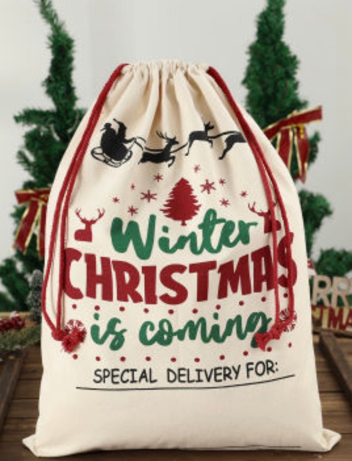 Christmas Personalized Canvas Sac