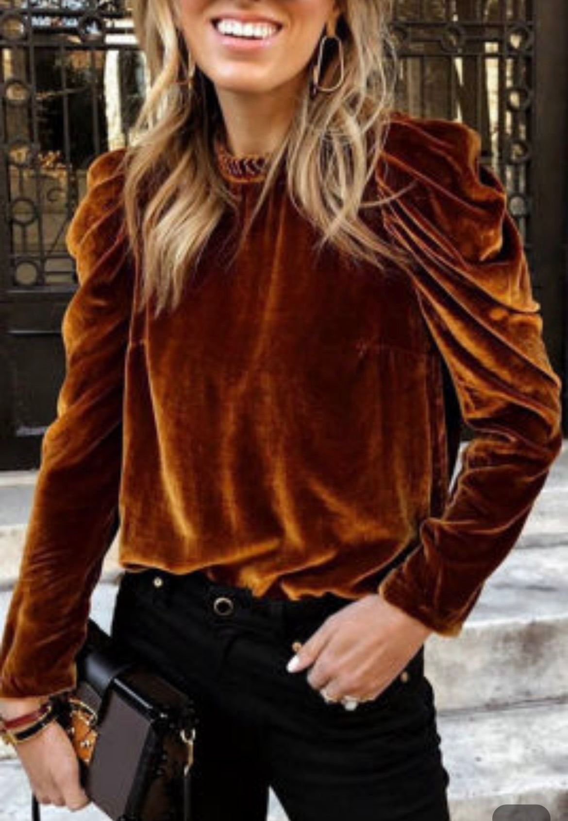 Chestnut Puff Velvet Blouse
